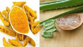 Turmeric and Aloe Vera for Skin care: മഞ്ഞളും ഒപ്പം കറ്റാര്‍വാഴയും, ചര്‍മ്മം വെട്ടിത്തിളങ്ങും