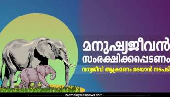 Wild animals attacks: വന്യജീവി ആക്രമണം തടയാൻ നടപടി; 50 കോടി രൂപ അനുവദിക്കുമെന്ന് ധമന്ത്രി