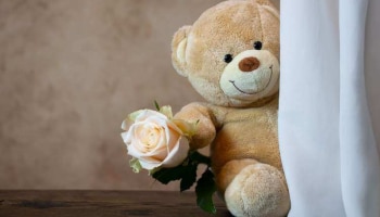 Happy Teddy Day 2023: ഈ ടെഡി ഡേയിൽ നിങ്ങളുടെ പ്രണയിതാവിന് അയക്കാൻ ചില സന്ദേശങ്ങൾ 