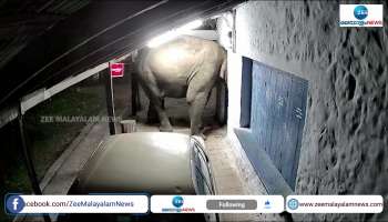 Wild elephant attack continues in Idukki elephant vandalised grocery shop