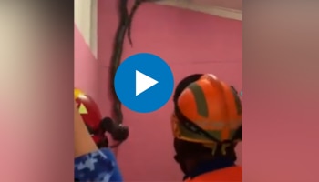 Viral Video: സീലിങ്ങിൽ നിന്ന് അസാധാരണ ശബ്ദം; സംഭവം കണ്ട വീട്ടുകാർ ഞെട്ടി