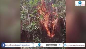 Fire in Forest at Trivandrum