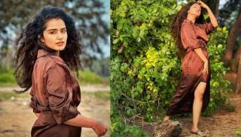 Anupama Parameswaran: ബ്രൗൺ ഗൗണിൽ ക്യൂട്ട്ലുക്കിൽ അനുപമ പരമേശ്വൻ