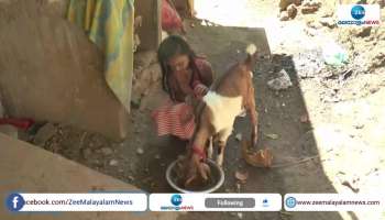 Charity work done school children 
