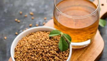 Fenugreek Water Benefits: വെറുംവയറ്റിൽ ഉലുവ വെള്ളം കുടിക്കാം; ​ഗുണങ്ങൾ ഏറെയാണ്