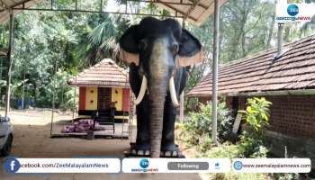 Robotic Elephant in Thrissur