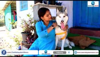 Siberian husky that survived the Russia-Ukraine war is now in Munnar