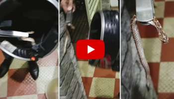 Viral Video: ഹെൽമറ്റിനുള്ളിൽ പതുങ്ങിയിരിക്കുന്ന അപകടകാരിയായ പാമ്പ്..! വീഡിയോ വൈറൽ 