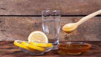 Lemon Honey Benefits: രാവിലെ ചെറുനാരങ്ങയും തേനും ചേർത്ത പാനീയം കുടിച്ചാൽ... ഗുണങ്ങൾ നിരവധി! 