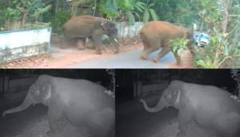 Wild elephant: മലപ്പുറത്ത് ജനവാസ മേഖലയിൽ ഭീതിവിതച്ച് കാട്ടാനകളുടെ ആക്രമണം; മതിലുകളും ​ഗെയ്റ്റുകളും തകർത്തു- സിസിടിവി ദൃശ്യങ്ങൾ