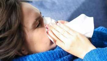 Seasonal flu: ശ്വാസകോശ സംബന്ധമായ പ്രശ്നങ്ങളുടെ കാരണം ഇൻഫ്ലുവൻസ; H3N2 പ്രതിരോധിക്കാൻ ഇക്കാര്യങ്ങൾ ശ്രദ്ധിക്കാം