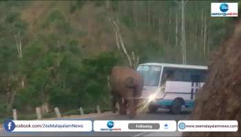 Wild Elephant Padayappa attack on KSRTC Bus in Munnar