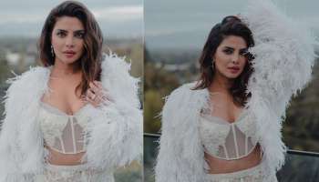 Priyanka Chopra: സൗത്ത് ഏഷ്യൻ എക്‌സലൻസ് പ്രീ- ഓസ്‌കാർ ആഘോഷത്തിൽ തിളങ്ങി പ്രിയങ്ക ചോപ്ര