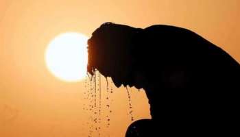 Kerala Heat: വെന്തുരുകി കേരളം; ജനുവരിയിൽ മഴ ലഭിക്കാത്തത് ചൂട് വർധിക്കാൻ കരണമായെന്ന് കേന്ദ്ര കാലവസ്ഥാ വകുപ്പ് ഡയറക്ടർ കെ സന്തോഷ്