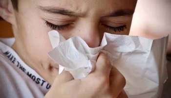 H3N2 Influenza: എച്ച്3എൻ2  ഇൻഫ്ലുവൻസ, സ്വയം ചികിത്സ ആപത്ത്, മുന്നറിയിപ്പ് നൽകി ആരോഗ്യ വിദഗ്ധര്‍