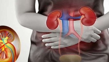 Kidney Failure Symptoms : ഈ ശാരീരിക പ്രശ്‌നങ്ങൾ അവഗണിക്കരുത്; വൃക്ക രോഗത്തിന്റെ ലക്ഷണമാകാം 