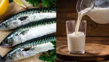 Harmful Food Combinations: പാലും മത്സ്യവും ഒരുമിച്ച് കഴിയ്ക്കാമോ? ഒഴിവാക്കേണ്ട അപകടകരമായ ഭക്ഷണ കോമ്പിനേഷനുകൾ 