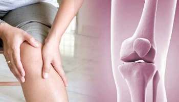 Bone Health: എണ്‍പതിലും എല്ലിന് കരുത്ത്!! ഇക്കാര്യങ്ങള്‍ ശ്രദ്ധിക്കാം