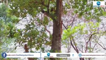 People File Complaint Against Forest Department