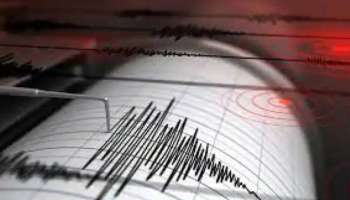 Tsunami alert: ന്യൂസിലൻഡിലെ കെർമഡെക് ദ്വീപുകളിൽ ഭൂചലനം; സുനാമി മുന്നറിയിപ്പ്