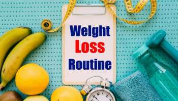 Weight Loss Routine: ശരീരഭാരം കുറയ്ക്കാൻ ദിനവും ഇക്കാര്യങ്ങൾ ശീലമാക്കാം