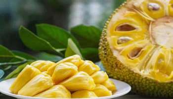 Jackfruit Benefits In Summer: വേനല്‍ക്കാലത്ത് ചക്കപ്പഴം കഴിയ്ക്കാം, ഈ രോഗങ്ങളില്‍ നിന്ന് മുക്തി