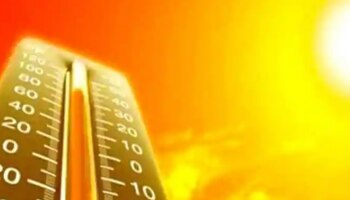 Kerala Heatwave : സംസ്ഥാനത്ത് അതികഠിനമായ ചൂട്; ഗുരുവായൂരിൽ പശു ചത്തു