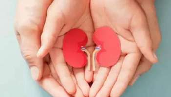 Kidney health: ശ്രദ്ധിക്കുക, ഈ ജീവിതശൈലികൾ നിങ്ങളുടെ വൃക്കകളെ തകരാറിലാക്കിയേക്കാം