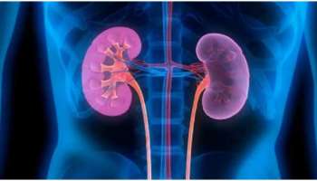 Kidney health: വൃക്ക സ്വാഭാവികമായി വൃത്തിയാക്കണോ? ഈ ഭക്ഷ്യവസ്തുക്കൾ പരീക്ഷിച്ച് നോക്കൂ