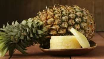 Pineapple Health Benefits: പോഷകസമ്പുഷ്ടം... രോ​ഗപ്രതിരോധശേഷിക്ക് മികച്ചത്; അറിയാം പൈനാപ്പിളിന്റെ ​ഗുണങ്ങൾ