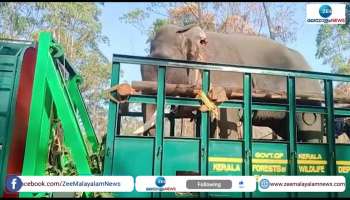Mission Arikomban Trained Elephants Reached At Idukki