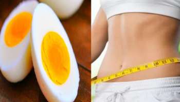 Egg For Weight Loss: മുട്ട കഴിച്ചാലും തടി കുറയ്ക്കാം ഈ 3 കാര്യങ്ങൾ കൂടി യോജിപ്പിച്ചാൽ മതി!