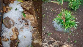 Hail Storm : ഇടുക്കിയിൽ വേനൽമഴയ്ക്കൊപ്പം ആലിപ്പഴം വീഴ്ചയും