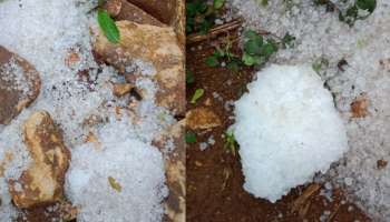 Hail Storm : ഇടുക്കിയിൽ ആലിപ്പഴം പെയ്തു; കാണാം ചിത്രങ്ങൾ