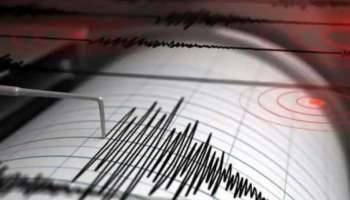 Japan Earthquake: ജപ്പാനിൽ ഭൂചലനം; റിക്ടർ സ്കെയിലിൽ 4.6 തീവ്രത രേഖപ്പെടുത്തി