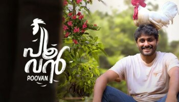   Poovan OTT Update : ആന്റണി വർഗീസിന്റെ പൂവൻ ഒടിടിയിലെത്തി; എവിടെ കാണാം? 