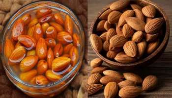 Almonds for Skin: ആരോഗ്യമുള്ള തിളക്കവുമുള്ള ചർമ്മത്തിന് രാവിലെ അല്പം ബദാം കഴിക്കാം 