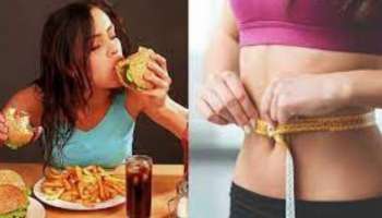 Weight Loss: പ്രാതലിൽ ഈ 5 ഭക്ഷണങ്ങൾ ഉൾപ്പെടുത്തിയാൽ മെലിയുമെന്നത് സ്വപ്നം മാത്രം! 