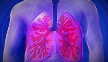 Lungs Health: ശ്വാസകോശത്തിന്റെ ആരോ​ഗ്യത്തിൽ ശ്രദ്ധിക്കാം; ഇക്കാര്യങ്ങൾ ഓർത്തിരിക്കുക