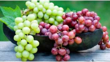 Benefits of Grapes: പ്രമേഹം മുതൽ ക്യാൻസർ വരെ..; പല രോഗങ്ങൾക്കും മുന്തിരി ഔഷധമാണ്!