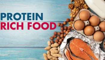 Protein Foods: പ്രോട്ടീൻ പ്രധാനം; പ്രോട്ടീൻ സമ്പുഷ്ടമായ ഭക്ഷണങ്ങൾ കഴിക്കേണ്ടതിന്റെ പ്രാധാന്യം അറിയാം