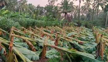 Heavy Rain: തൃശൂരിന് പിന്നാലെ കൊച്ചിയിലും കാറ്റും മഴയും ശക്തം; വ്യാപക നാശനഷ്ടം