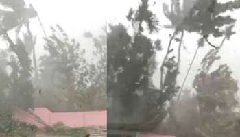 Rain Alert: സംസ്ഥാനത്ത് പരക്കെ മഴയ്ക്ക് സാധ്യത; പത്തനംതിട്ടയിലും ഇടുക്കിയിലും യെല്ലോ അലർട്ട്