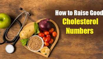 Cholesterol Diet: ശരീരത്തിൽ നല്ല കൊളസ്‌ട്രോളിന്റെ അളവ് വർധിപ്പിക്കാൻ ഈ ഭക്ഷണങ്ങൾ കഴിക്കാം