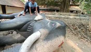 Guruvayur Elephant: പ്രതിമ കണ്ടാൽ വിഷ്ണു കുത്തിമലർത്തും; ഇത്തവണ വലിയകേശവന്റെ പൂർണകായശില്പവും