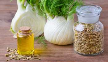 Fennel Oil Benefits: ജലദോഷം മുതൽ ചർമ്മകാന്തി വരെ, സവിശേഷമാണ് പെരുംജീരകം എണ്ണയുടെ ഗുണങ്ങള്‍ 