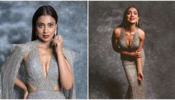 Shriya Saran: അപ്സരസിനെ പോലെ ശ്രിയ ശരൺ; ചിത്രങ്ങൾ ഏറ്റെടുത്ത് ആരാധകർ