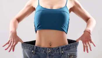 Belly Fat Reduction: ഈ 5 ശീലങ്ങള്‍ പാലിച്ചാല്‍  മാത്രം മതി, കുടവയര്‍ അപ്രത്യക്ഷമാകും  