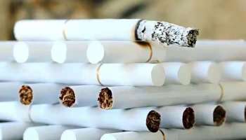 Smoking Break: ഓഫീസ് സമയത്ത് പുകവലിക്ക് ഇടവേള എടുത്ത ഉദ്യോഗസ്ഥന് 12 ലക്ഷം രൂപ പിഴ 