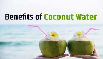 Coconut Water Benefits: കരിക്കിന്‍ വെള്ളം മികച്ച വേനല്‍ക്കാല പാനീയം!! കാരണമിതാണ് 